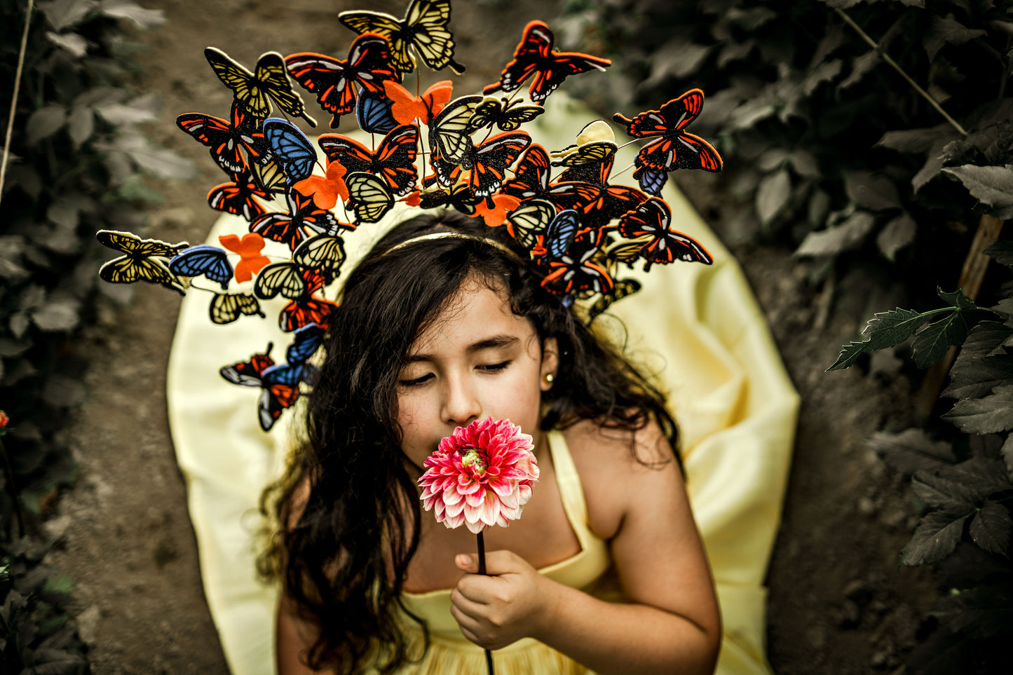 Monarch Headpiece