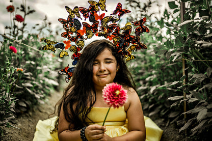 Monarch Headpiece