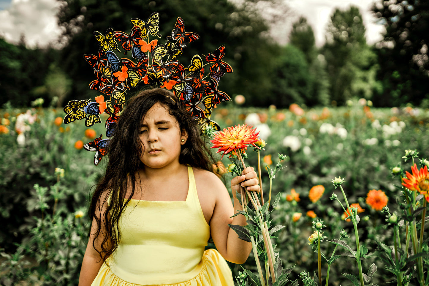 Monarch Headpiece