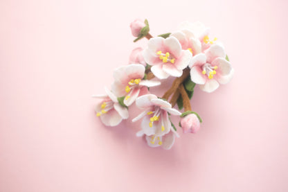 Cherry Blossoms Inspired