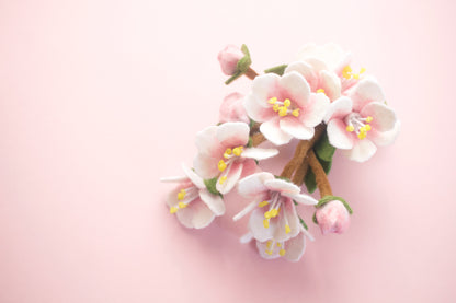 Cherry Blossoms Inspired