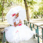 Mary Poppins Inspired  White Hat