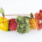 Original Blossom Fall Crown