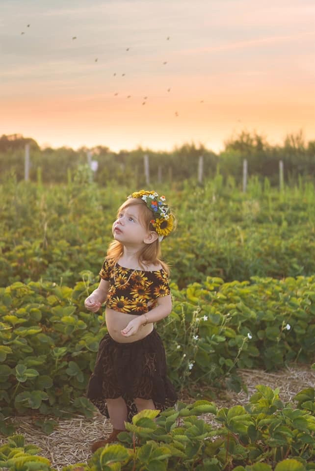 Clytie Petite Sunflower Halo