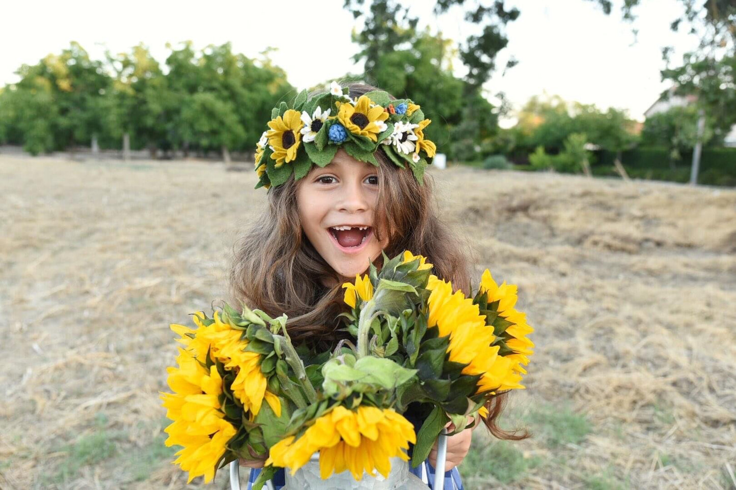 Sunflower Solstice Classic Crown