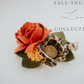 Rust color Rose