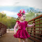Macaroons  Floral Fascinator