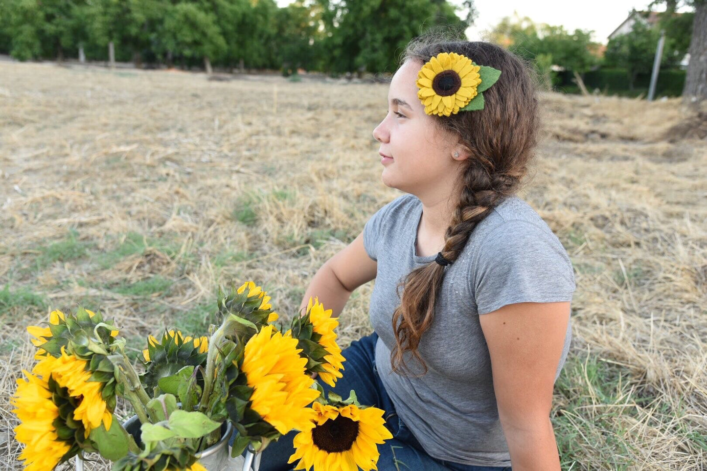 Sunflower Russian Mammoth