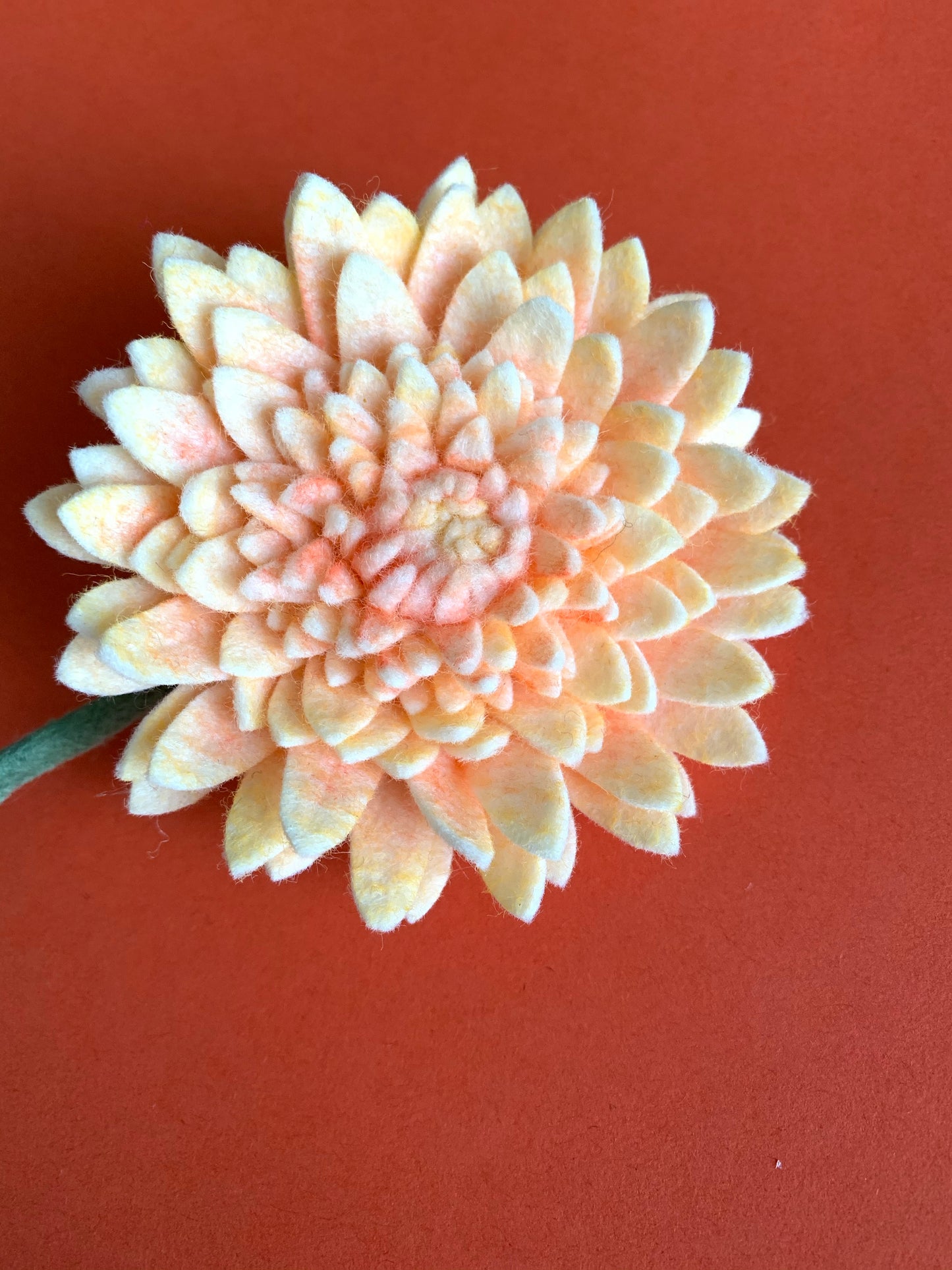 Dahlia Pinnata Clip