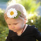 Shasta  Daisy|felt|