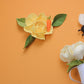Sweet Treats Single Clips