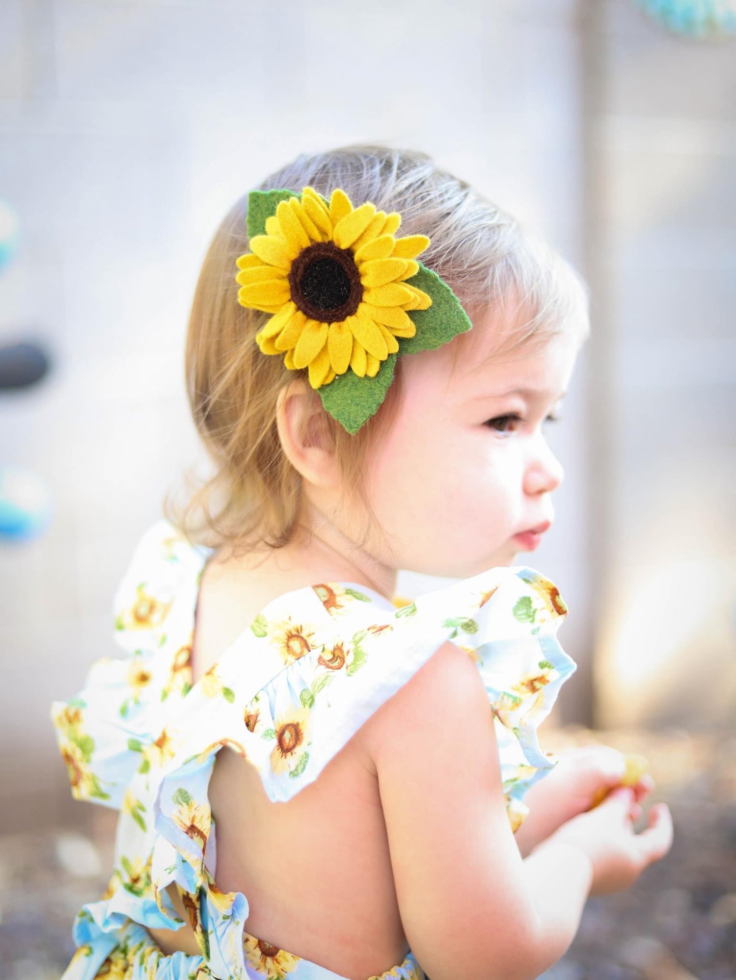 Clytie Petite Sunflower