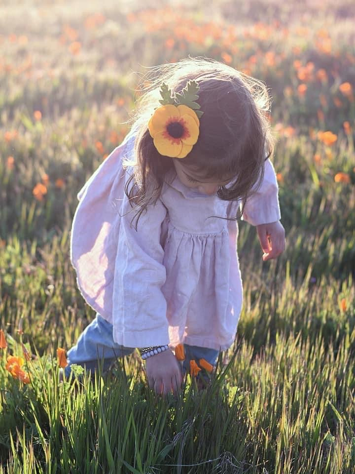 Golden California Poppy clip