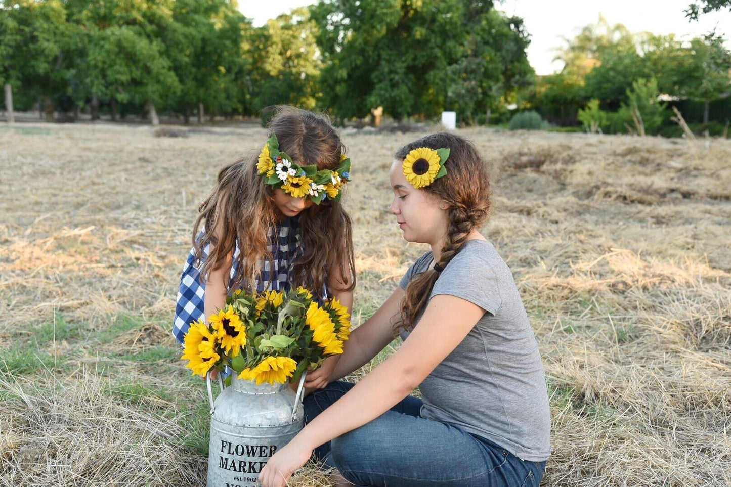 Sunflower Russian Mammoth