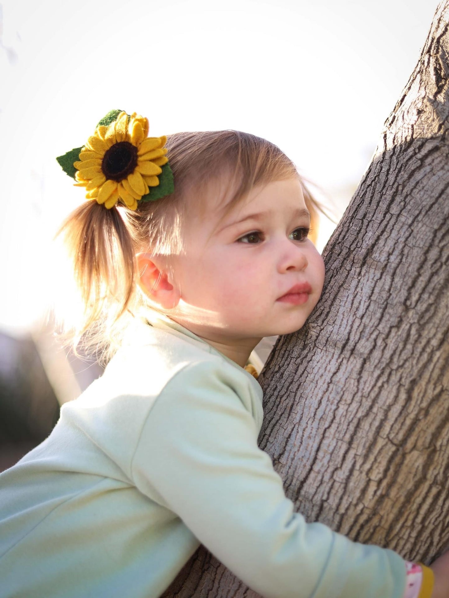 Clytie Petite Sunflower