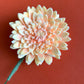 Dahlia Pinnata Clip