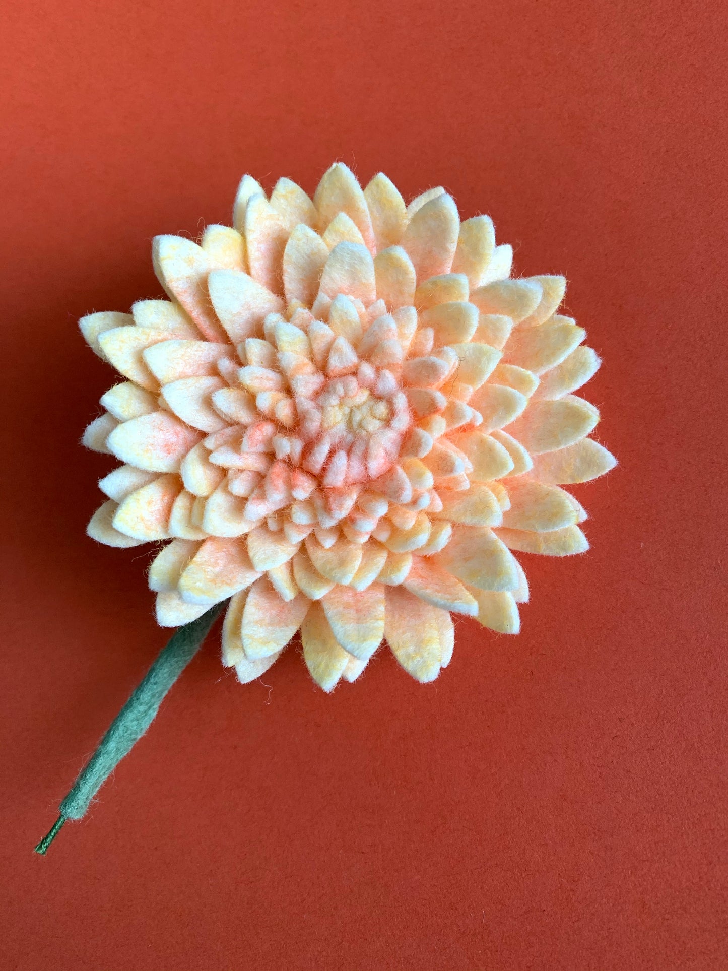 Dahlia Pinnata Clip