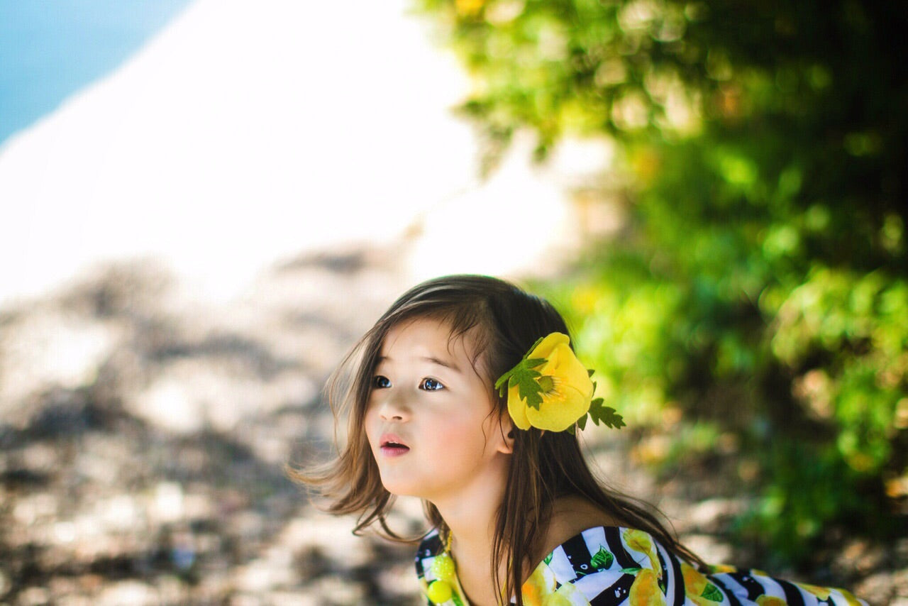 Yellow California Poppy