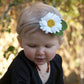 Shasta  Daisy|felt|